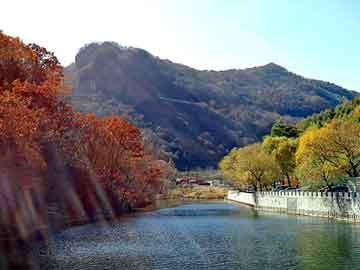 管家婆黑白马报图库，土工席垫